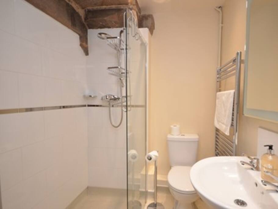 Bedroom 1 Ensuite Shower