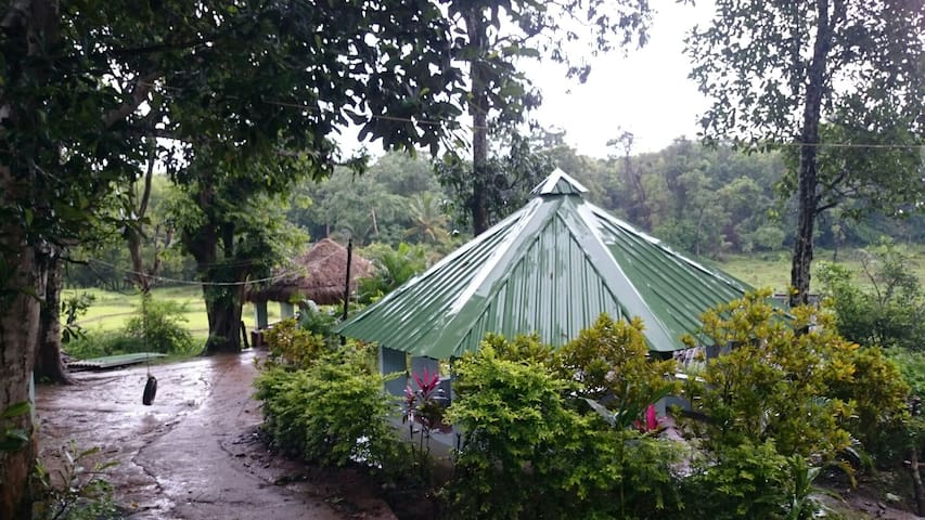 Airbnb Dandeli Holiday Rentals Places To Stay Karnataka