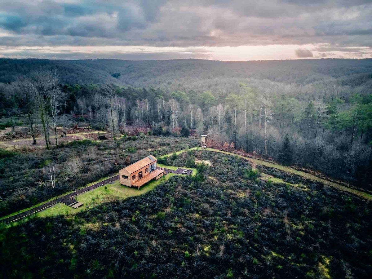 The cabin is situated in a private forested area, surrounded by open land with sparse vegetation. Rolling hills and tree lines extend into the distance, with a cloudy sky overhead. The setting conveys a sense of seclusion and natural beauty.