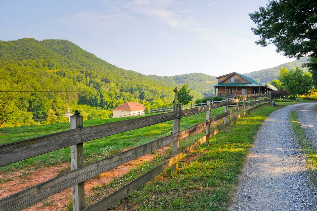 Private road leading to cabin