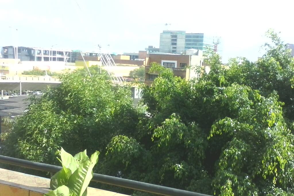 vista desde el balcon