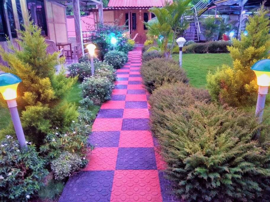 Your Red Carpet