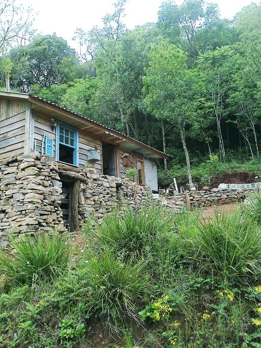 Cabana em meio a mata