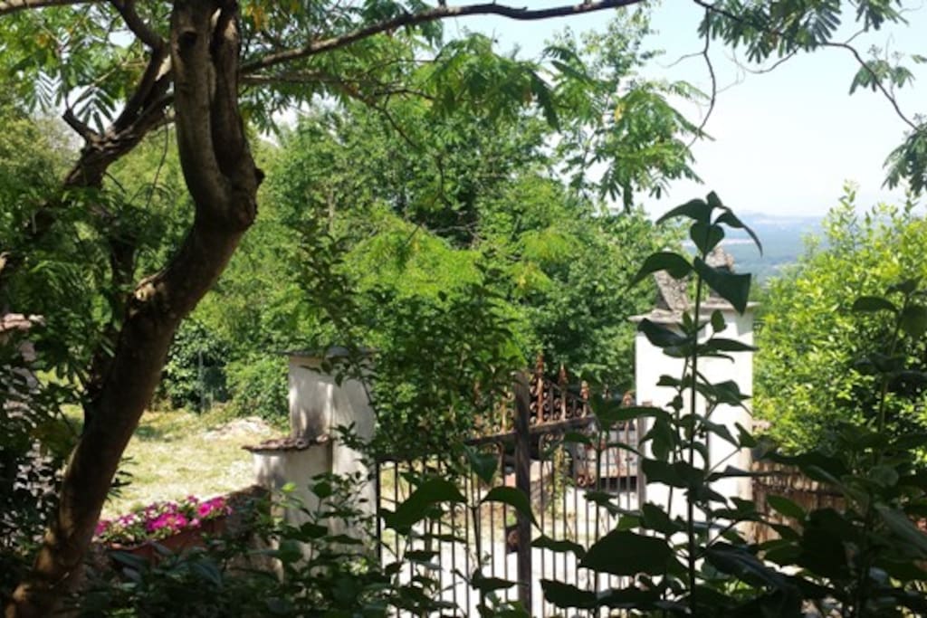 esterno