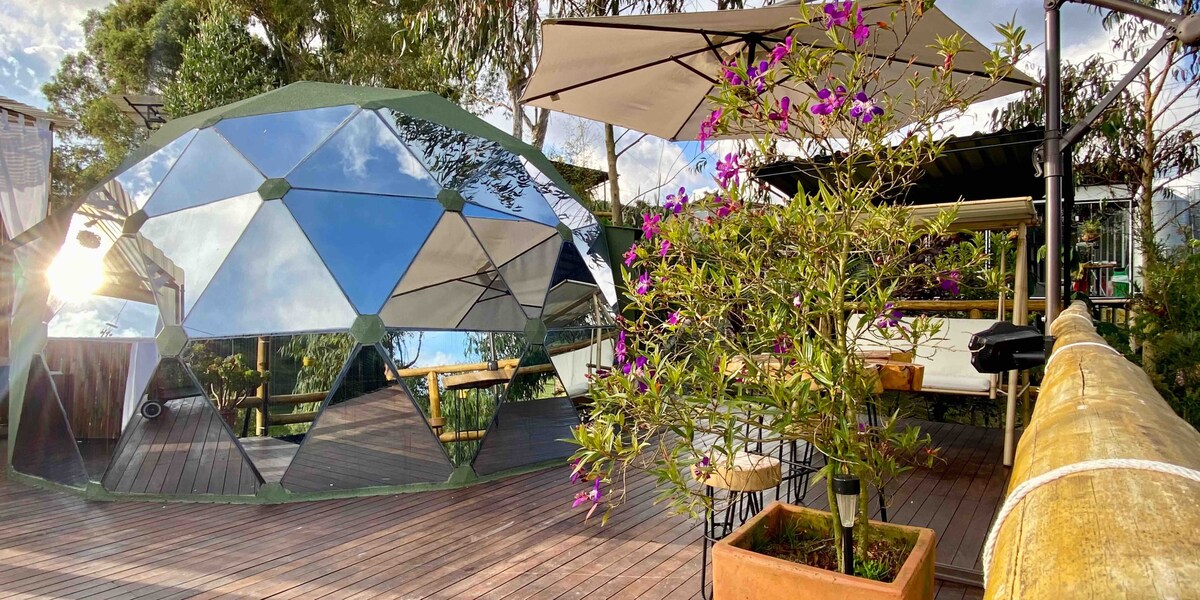 A geodesic dome structure reflects its surroundings, with mirrored panels enhancing the outdoor space. A wooden deck is complemented by vibrant purple flowers in a pot and shades providing comfortable shade. The natural setting offers an inviting ambiance for relaxation.