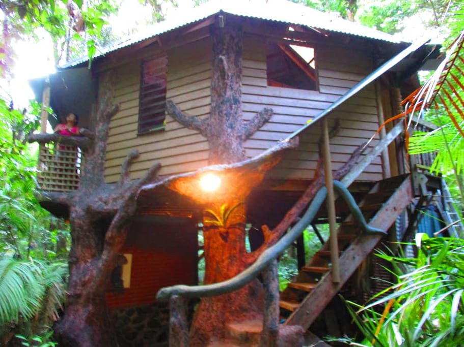 High set design to maximize the rain forest views