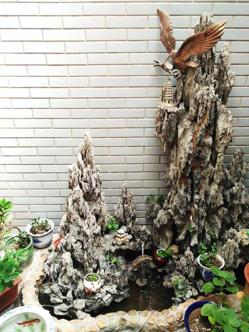假山鱼池