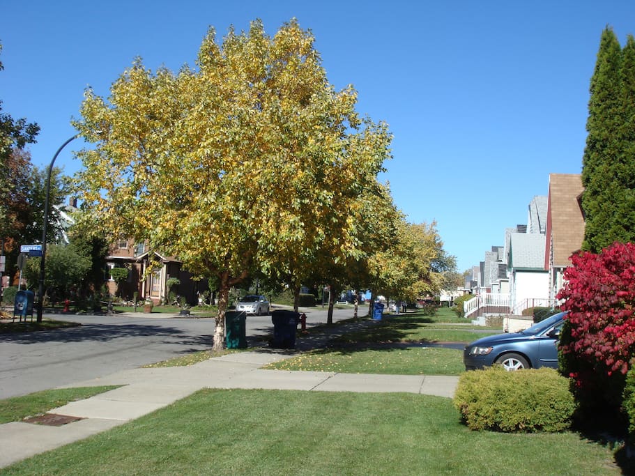 Street view North to Kenmore Avenue