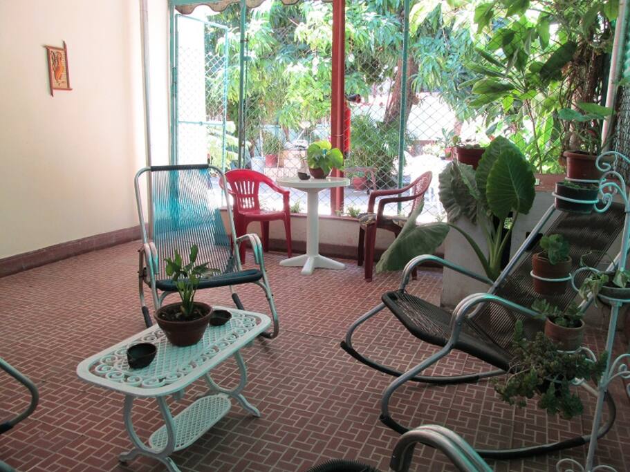 Terrace