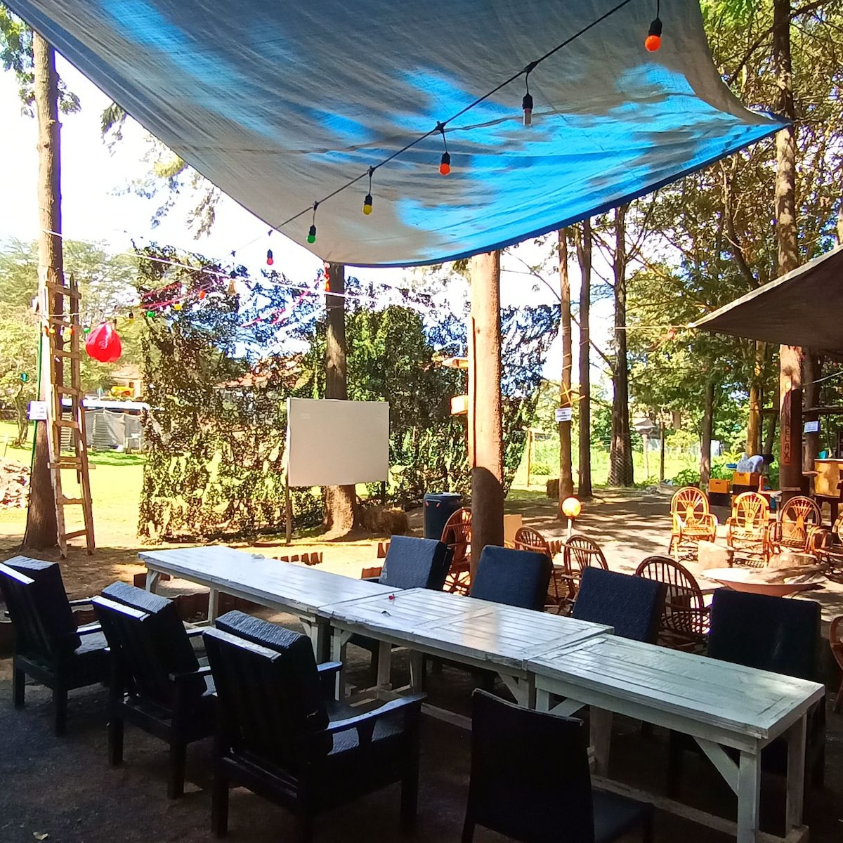 An outdoor dining area is shaded by a blue canopy, surrounded by trees. A long white table with dark chairs is set up for gatherings. Colorful lights are strung above, and additional seating is visible in the background, creating a welcoming space for socializing.
