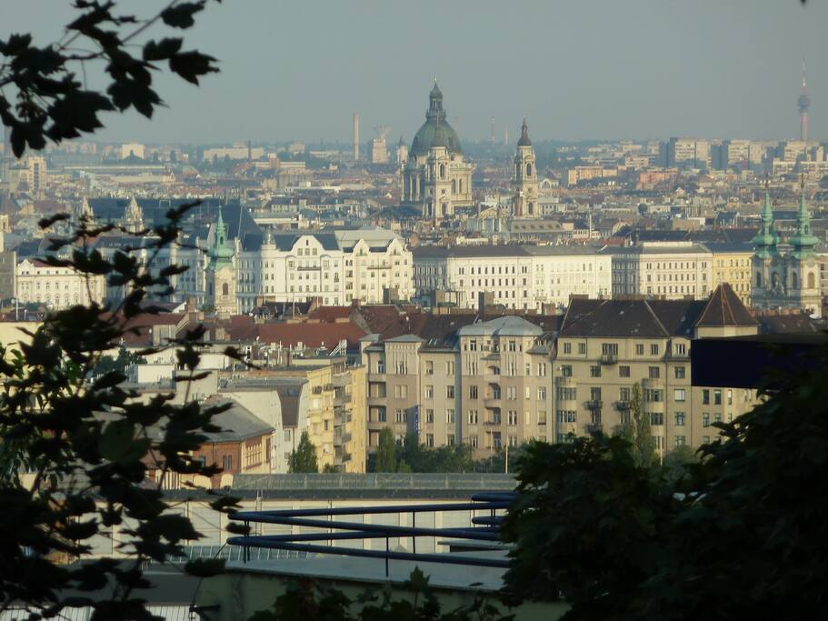 St. Stephen's Basilica from Apt.