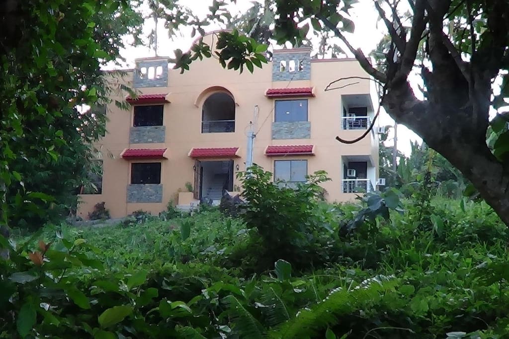 Front view with foliage