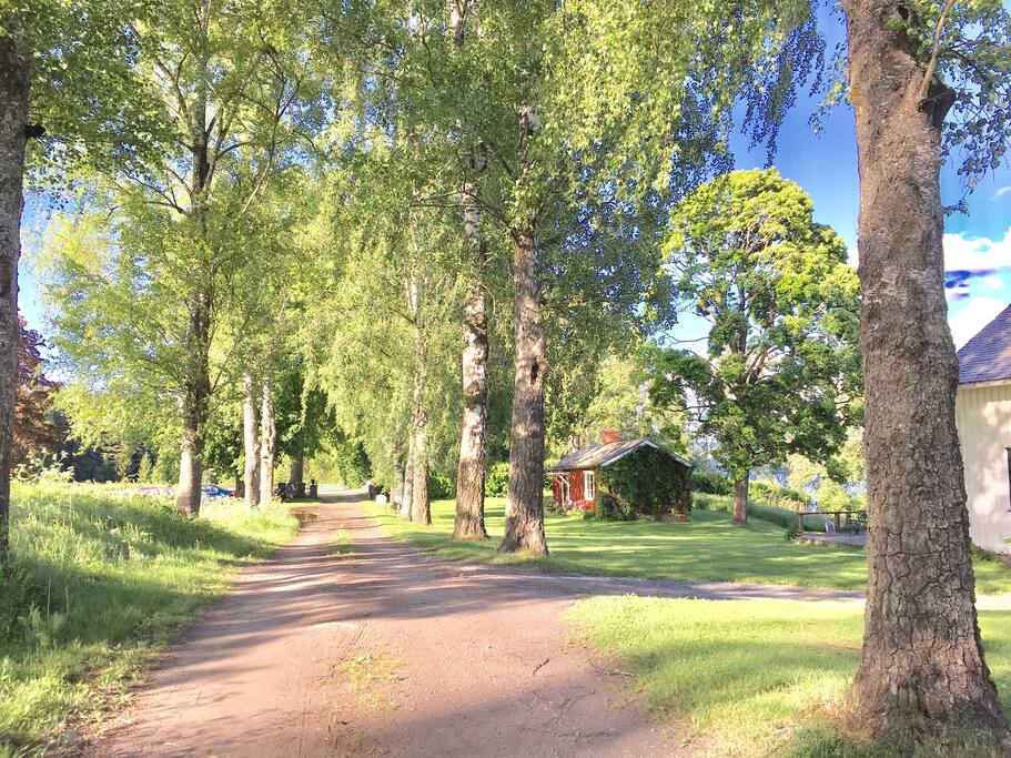 The cottage is located between 2 white houses.