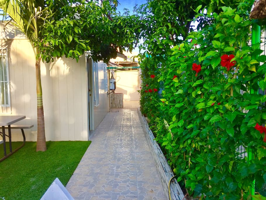 CHIC GARDEN