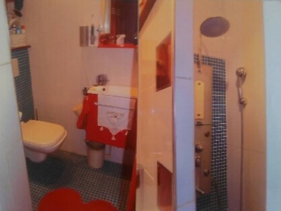 la salle de douche avec wc et lave mains.