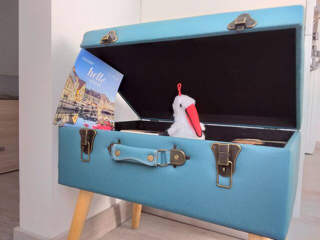 Gite climatisé idéalement situé Colmar centre