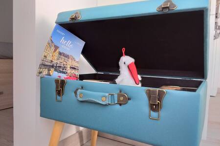 Gite climatisé idéalement situé Colmar centre