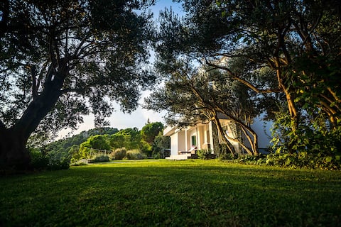 Holiday house on the beach - villa Exotica