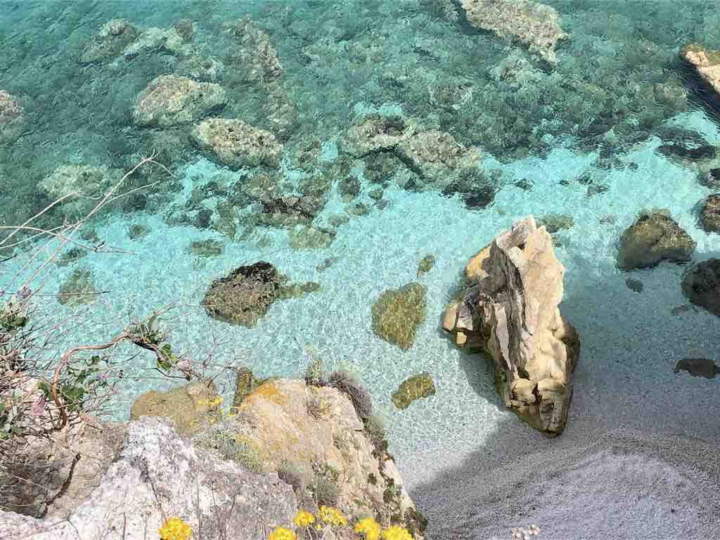 A serene coastal view captures clear turquoise waters gently lapping against a rocky shore. Visible are natural stone formations submerged in the shallow water, with sandy patches interspersed among them. Bright yellow flowers line the rocky edge, providing a splash of color amidst the tranquil scene.