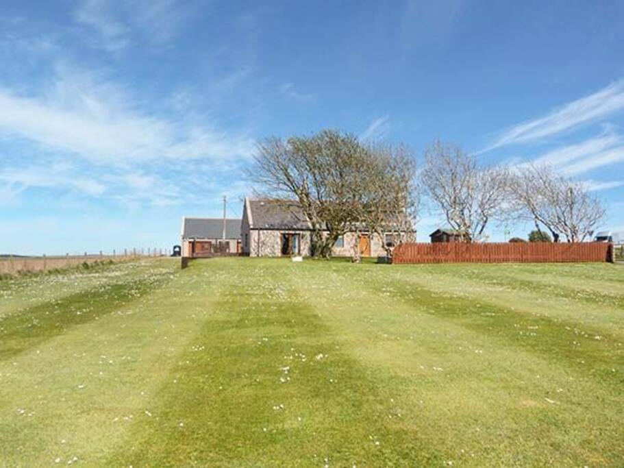 Massive garden/play area