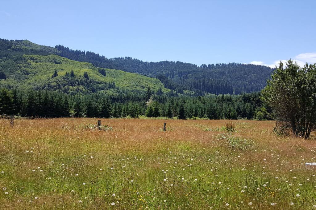 Step out your door to a beautiful view of meadow and hills