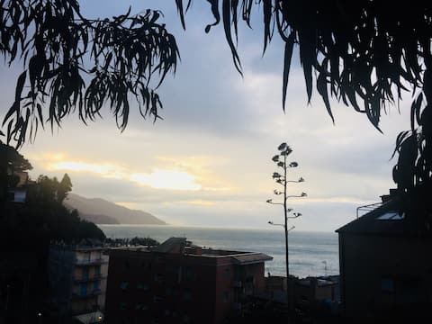 Sunny 1 bedroom with sea view balcony