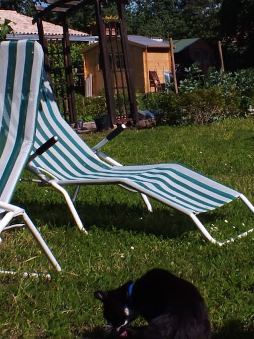 Far niente in Sonne und Schatten im grossen Garten mit alten Bäumen