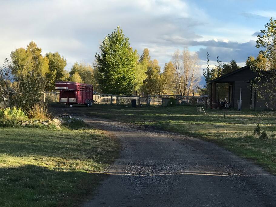 Driveway to the Guest House.