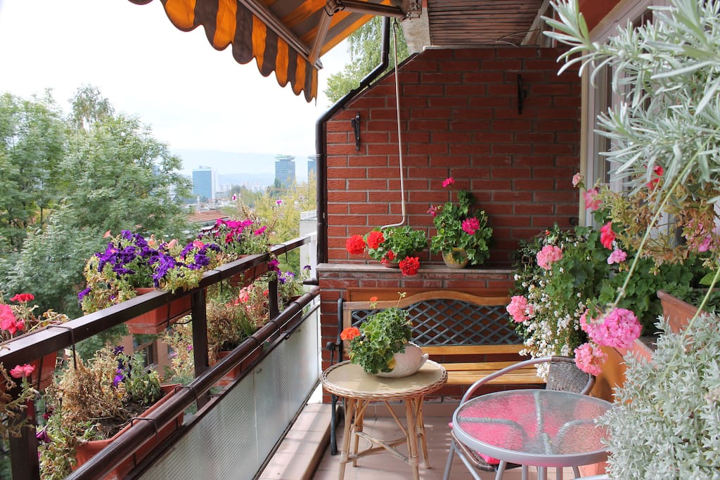 Amazing terrace with a lot of flowers.