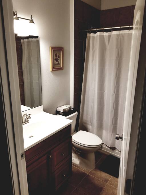 Guest Bathroom
