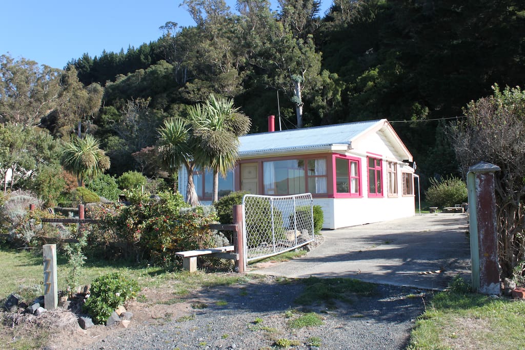 Between the sea and native bush