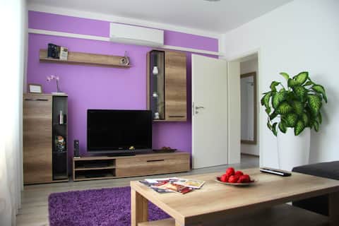 Popular Airbnb listing: Top apartment at the Kaiser baths in Trier