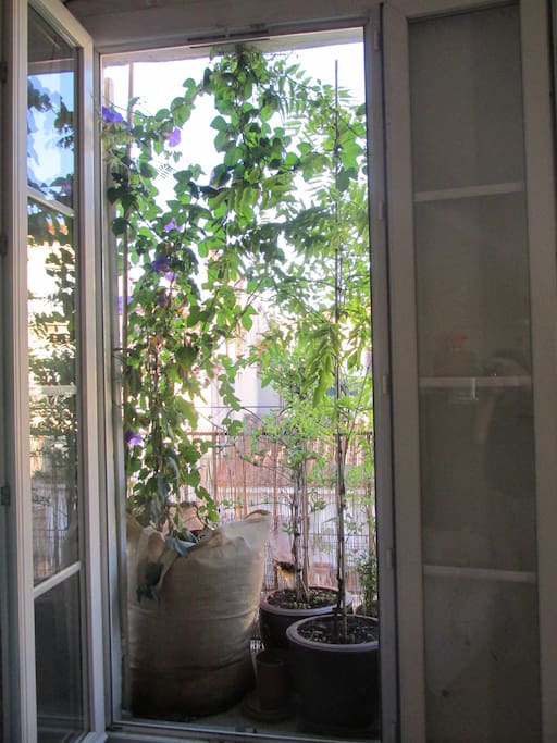 Balcony in the living room