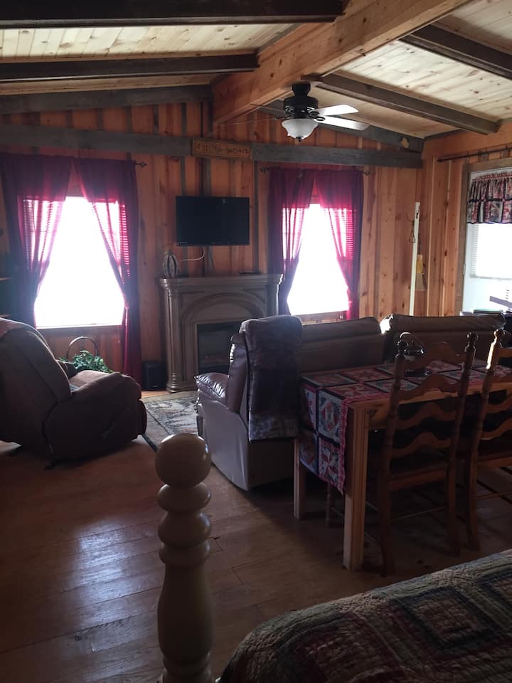 Cabin with a view! Cabins for Rent in Mountain View, Arkansas, United