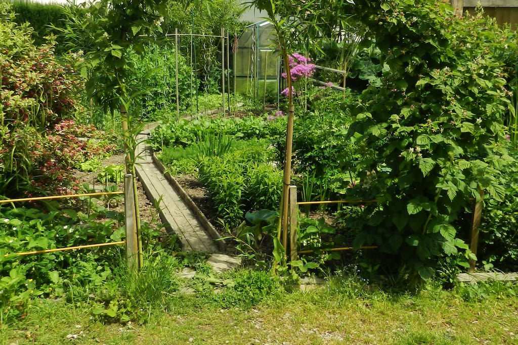 le potager