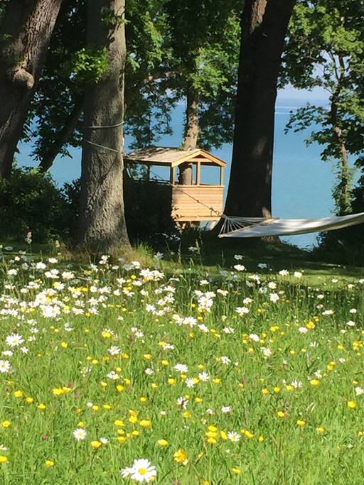 Tree House and Hammock in the Garden