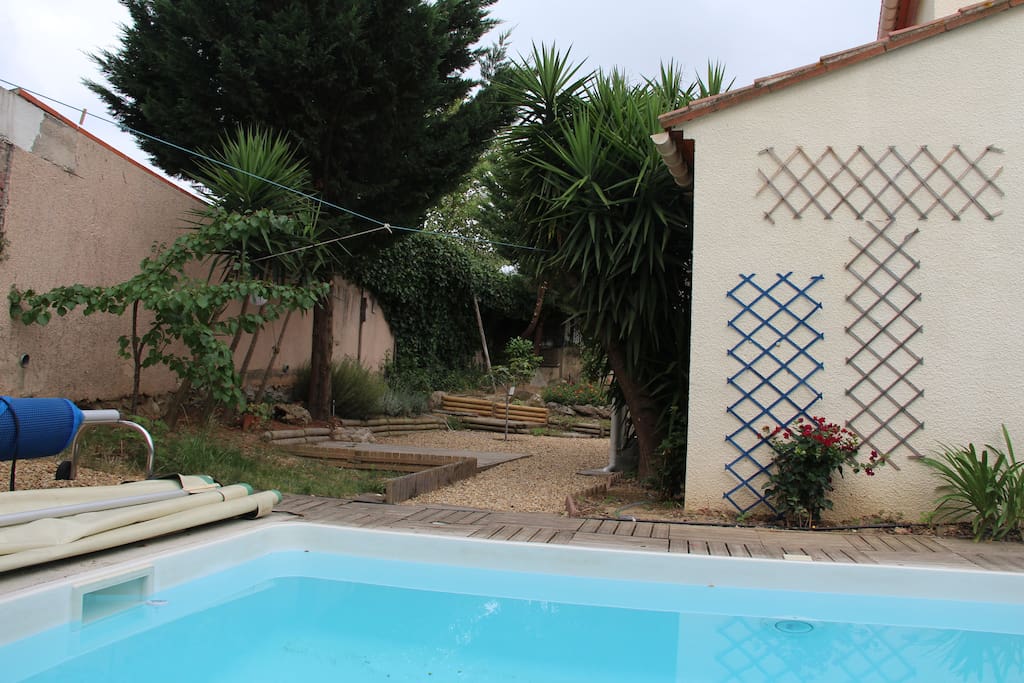 Swimming pool and garden