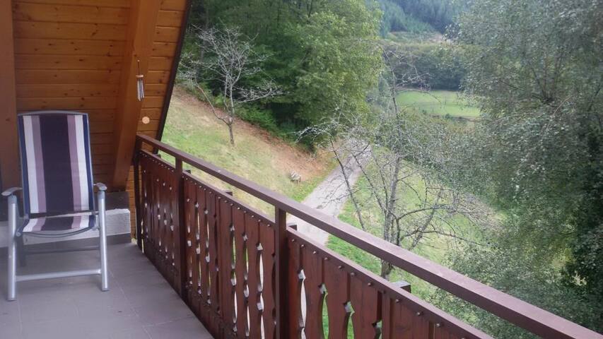 A House in the black forest with a magical view