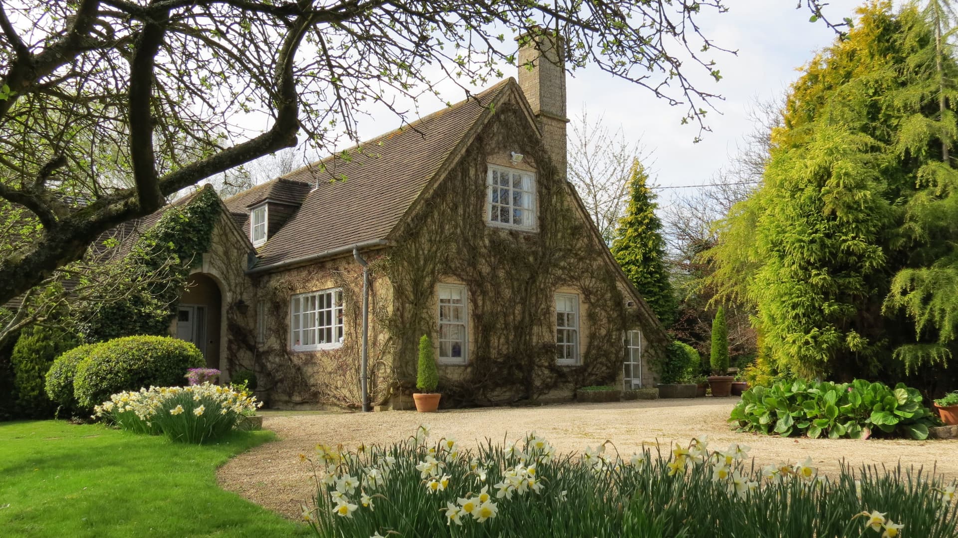 Self Contained Studio in Country House — photo 3