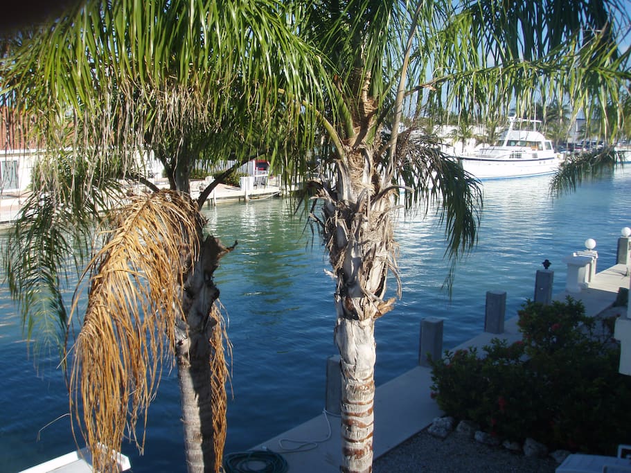 Canal View from the porch