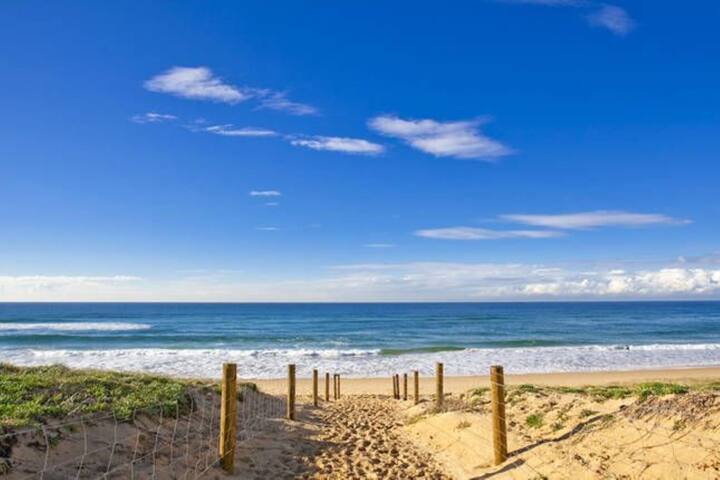 Huge Modern Beach House Nth Curl Curl Beach Views gallery image 3