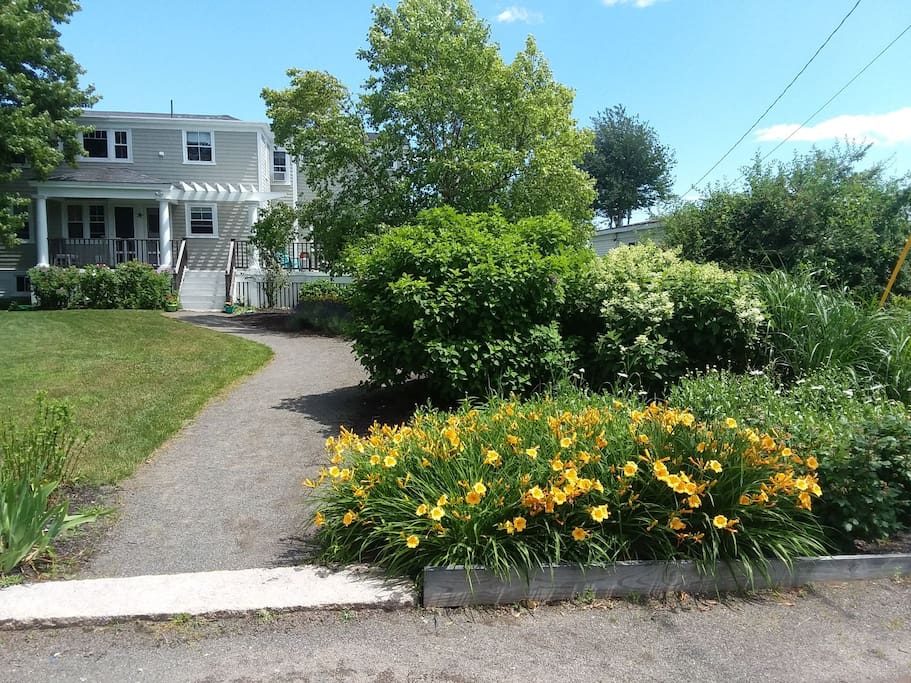 July 2017
Flowers are Blooming!!