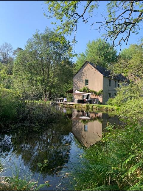 Water mill, rare setting,close to the sea!!