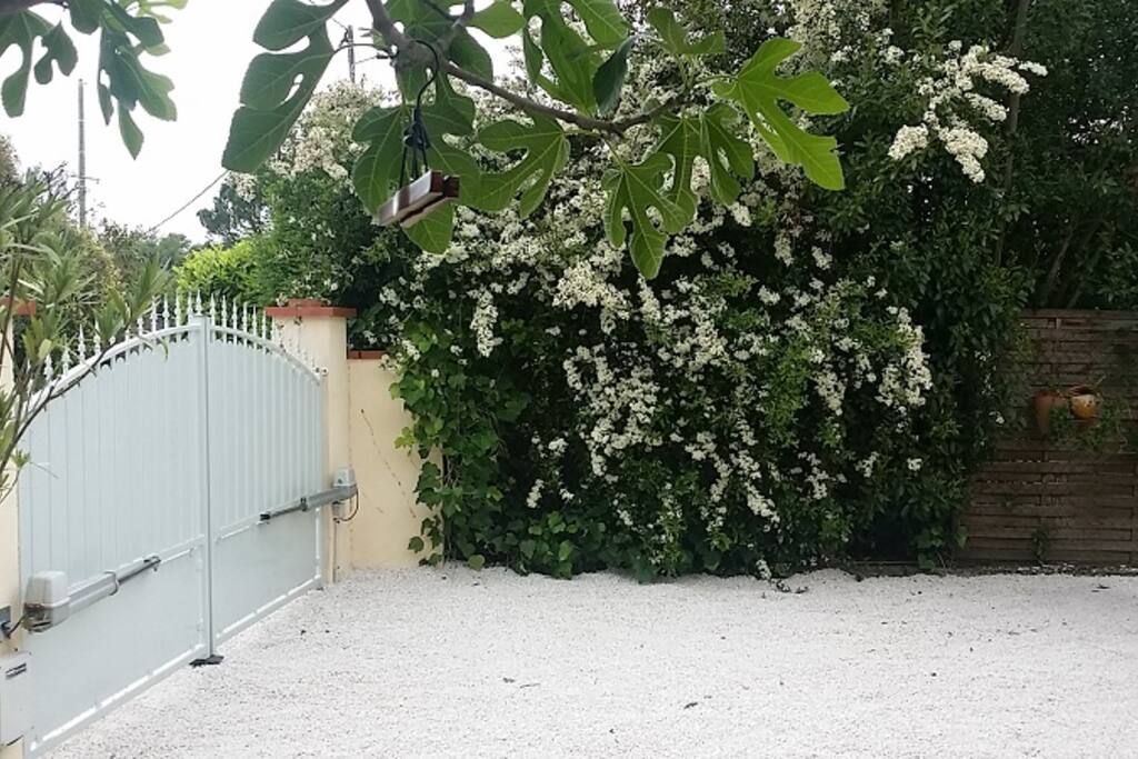 jardin privatif intime