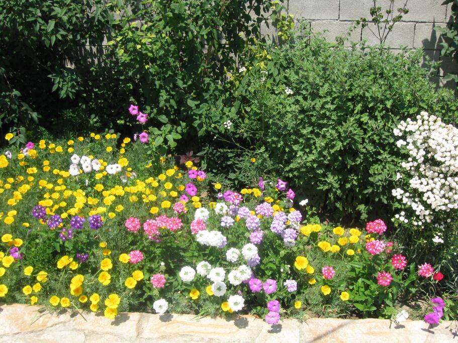 Lovely flowerbeds