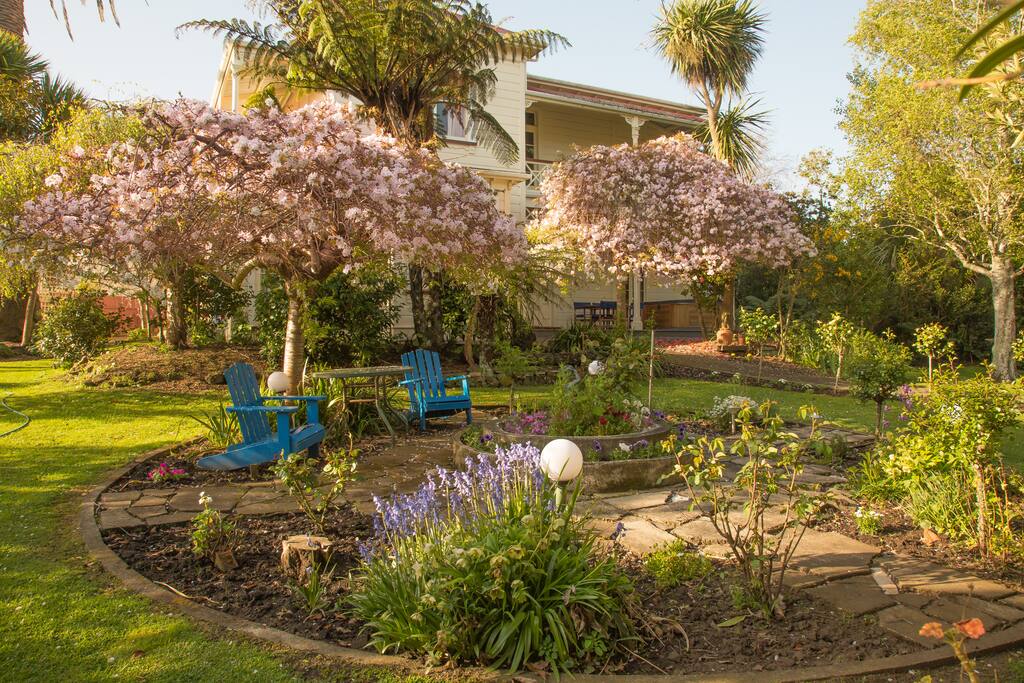 A view of our front garden