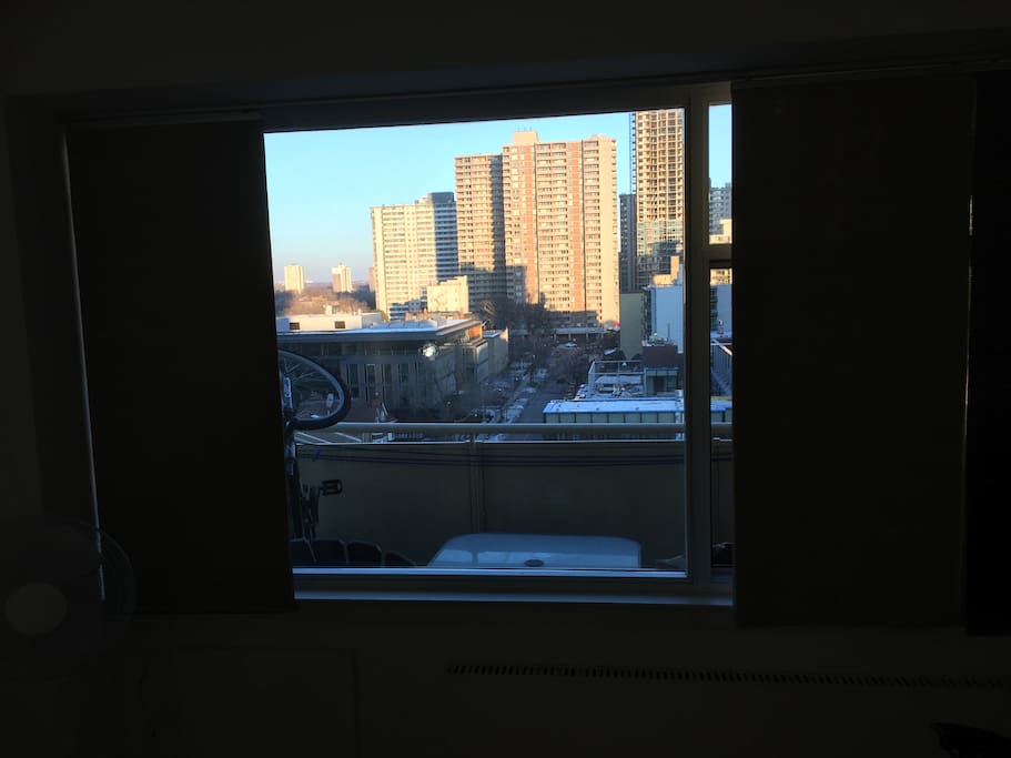 Living room window view