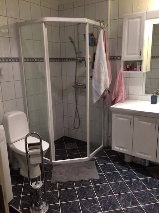 Bathroom (with washing machine and dryer).