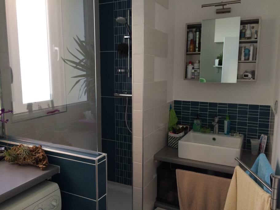 La salle d'eau avec douche, lavabo et lave-linge