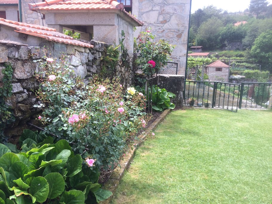 Large terraced garden